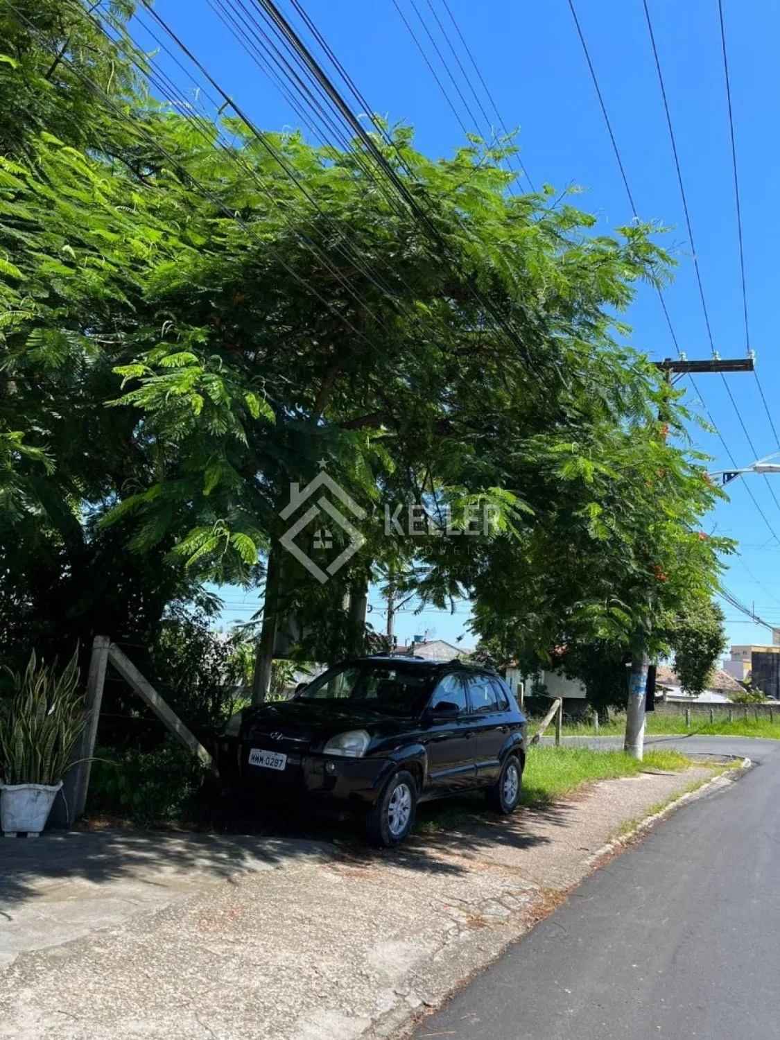 Terreno Frente Avenida Eugenio Krause - foto 4